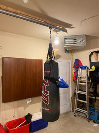 UFC heavy bag and slide rail 