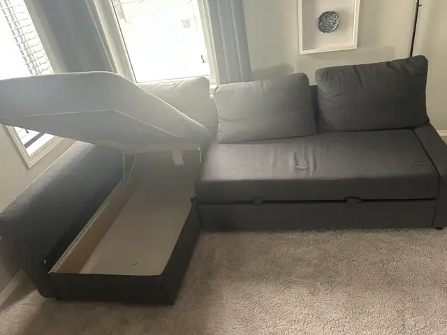 Couch/Bed 493150899599452162