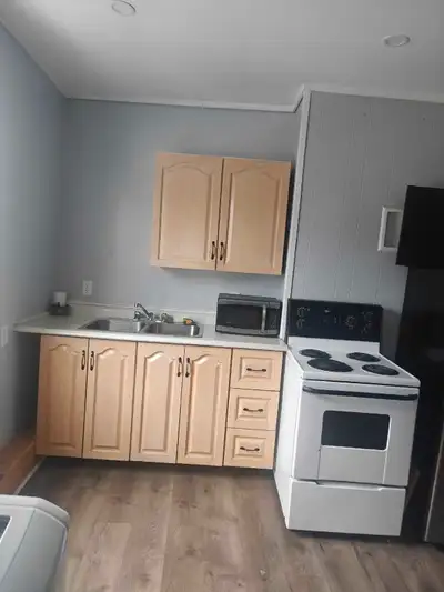 Room available in a two bedroom apartment