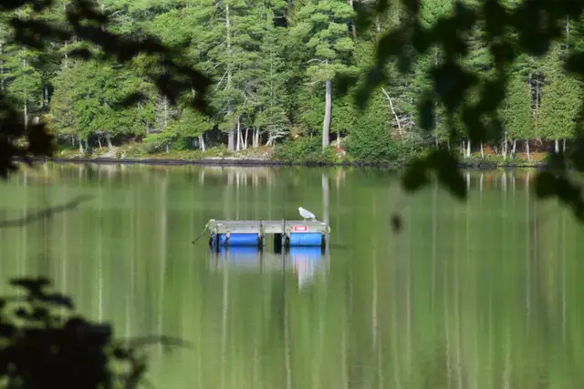 Cottage for rent on safe, sandy, beach, Private lake in Quebec in Canada - Image 10