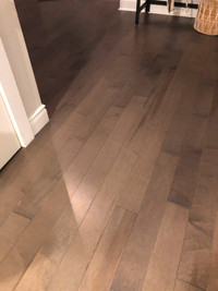 Maple hardwood floors new in box (Dubeau)