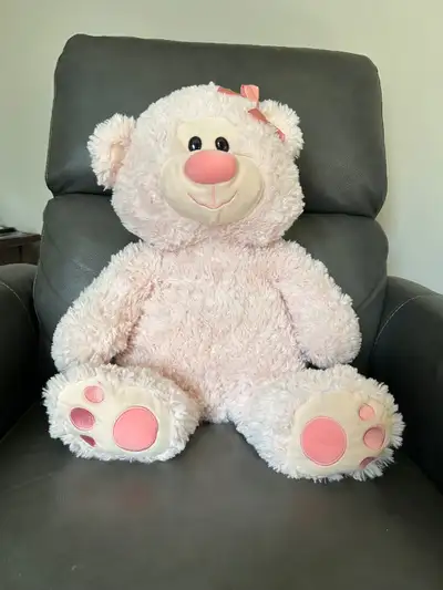 Cute & Cuddly Pink Teddy Bear (Brampton), View more