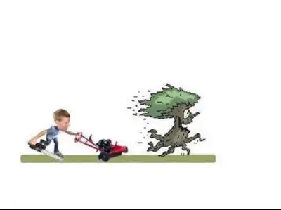 Stump Grinding , View more