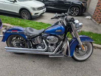 For sale 2007 Harley Davidson Softail Deluxe limited edition paint ( Blues Brothers) Vance and Hines...