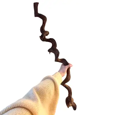 Large Curly Jungle Vine, View more