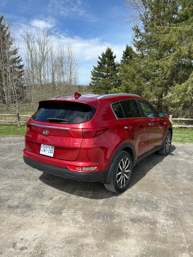 KIA Sportage in Cars & Trucks in Ottawa - Image 4