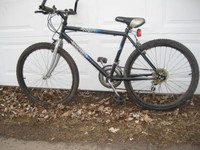 Two 24" refurbished, hard-tail, bicycles to choose from.
