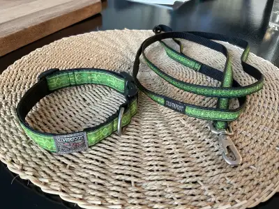 Collar & Leash Set for Small/Medium Dogs in McKenzie Lake SE, View more