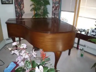 Baby Grande Piano, View more