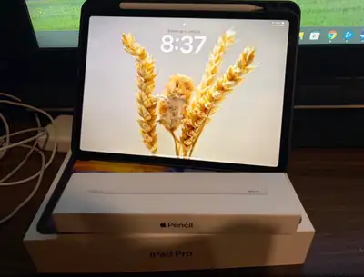 iPad Pro 11” (2nd Gen) — 128GB, Wi-Fi, Space Gray with Apple P, View more