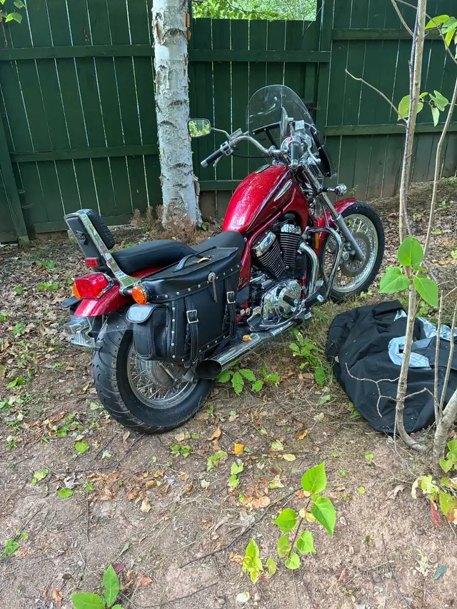 2006 Suzuki intruder 800 in Street, Cruisers & Choppers in Annapolis Valley - Image 3