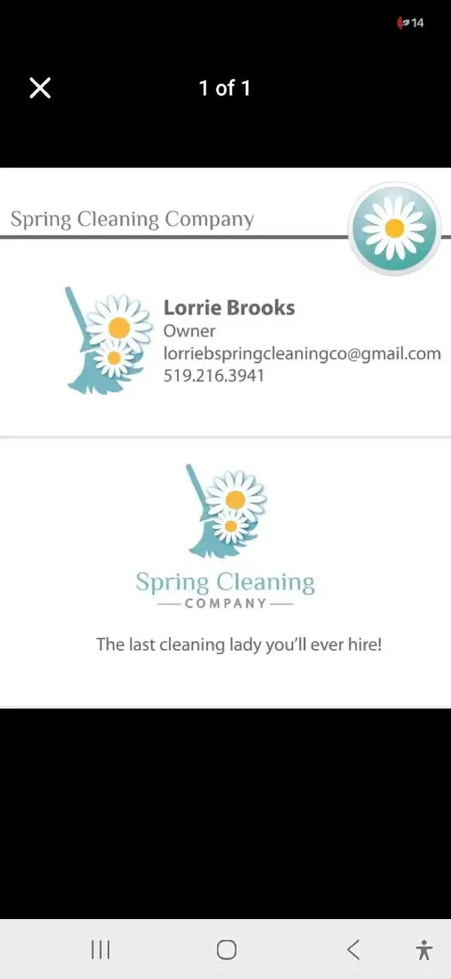 The Last Cleaning Lady You Will Ever Hire!