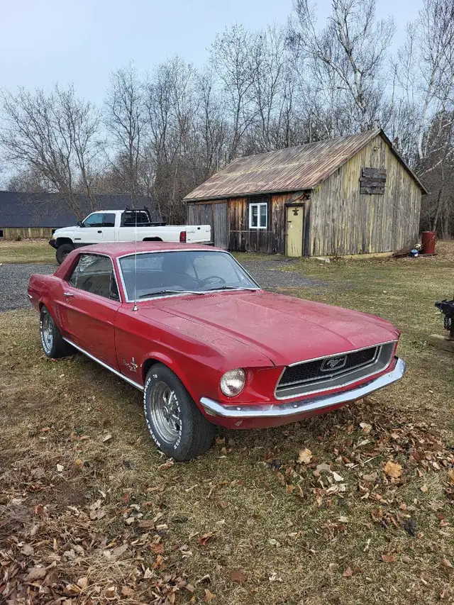 1968 Mustang Coupe  in Classic Cars in Oshawa / Durham Region - Image 2