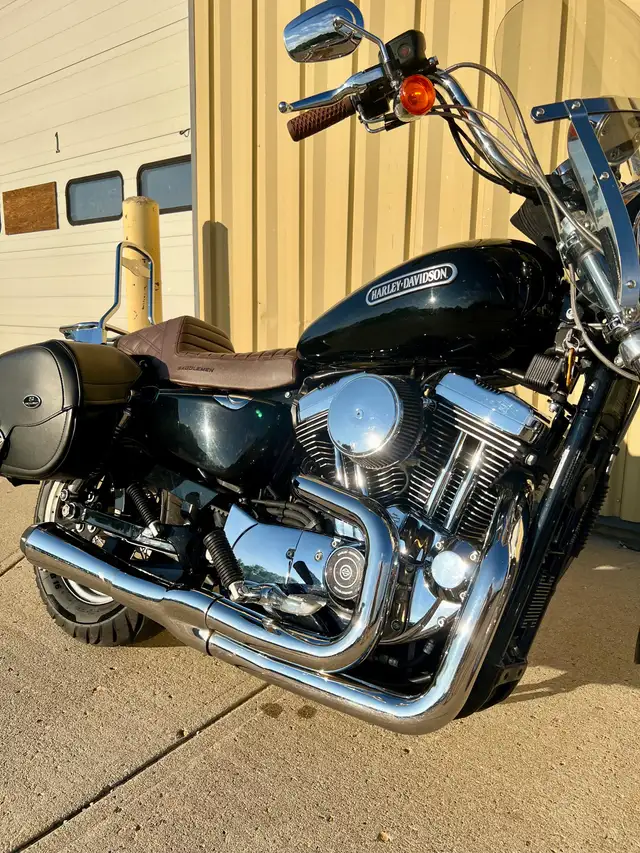 2006 Harley Davidson Sportster 1200 Low in Street, Cruisers & Choppers in Saskatoon - Image 3