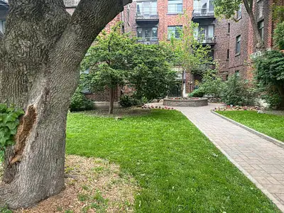 4.5 - 1500 all inclusive (internet, cable TV, heat, AC) in NDG