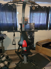 The Bowflex Xtreme® 2 SE Home Gym  ( Used )
