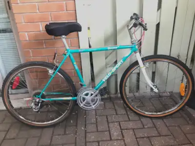 Vélo de montagne Velo SportCadre 18poRoues 26po10-vitesses, View more