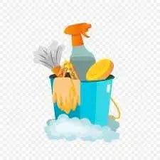Deep Cleaning and Organization , View more