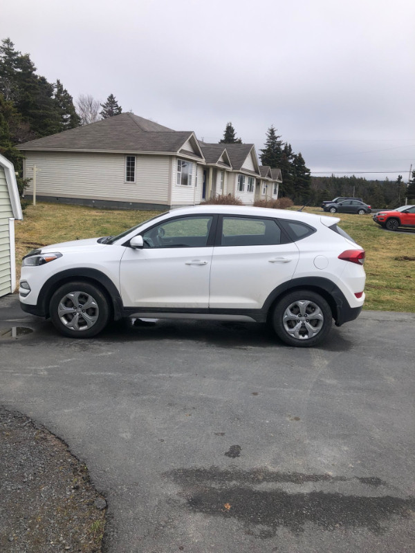 2018 Tucson SUV in Cars & Trucks in St. John's