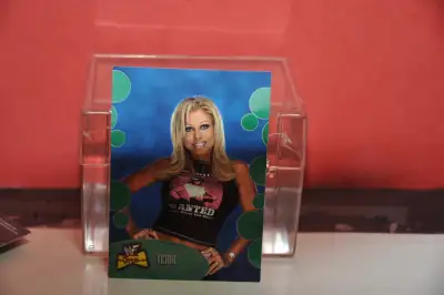 2001 WWF The Ultimate Diva Collection Fleer # 35 Terri The Road, View more