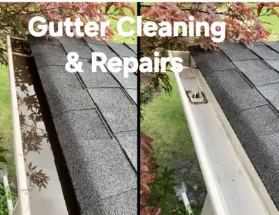 Eavestrough's / Gutter Cleaning and Repairs, Tree trimming, View more