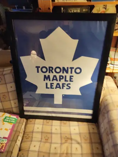 Framed Hockey Poster measures 21.50 inches by 30.50 inches. North end of Peterborough pick up; cash...