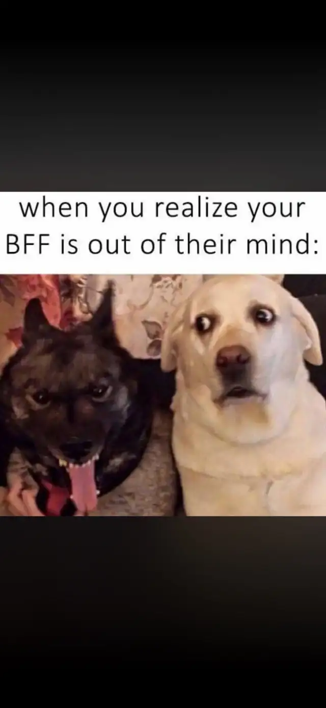 chat friends 