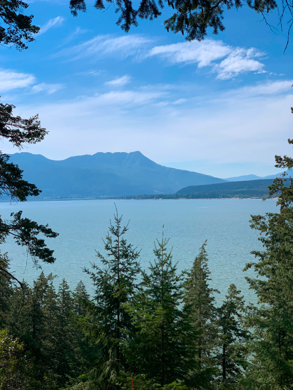 SHUSWAP LAKE VIEW LAND 26 ACRES in Land for Sale in Kamloops