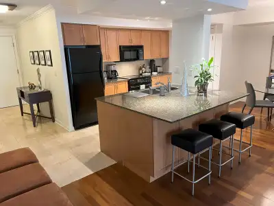 Downtown Furnished 2 Bed 2 Bath