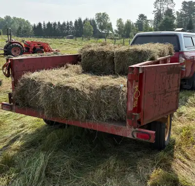 Hay for Sale, View more