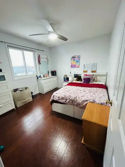 room for rent