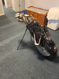 Topflight golf bag with an a assortment of Clubs