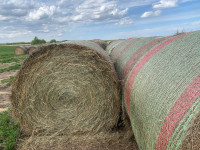 Round Hay Bales for Sale