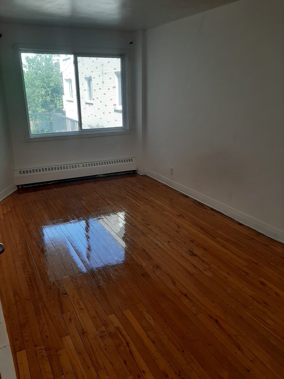 Lasalle Grand 3 ½ disponible pour maintenant ou novembre 3