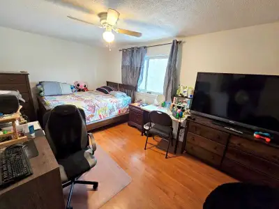 ✨ *Cozy 1-Bedroom for Rent in a Quiet, Convenient Neighborhood – $950 (Parking/utilities/Wi-Fi Inclu...