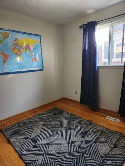 Single mother with 9 year old son. Looking for a clean, responsible roomate to rent single private r...