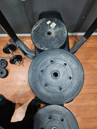 Weights and bench for sale