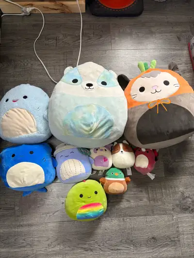 squishmallows all for $30, View more