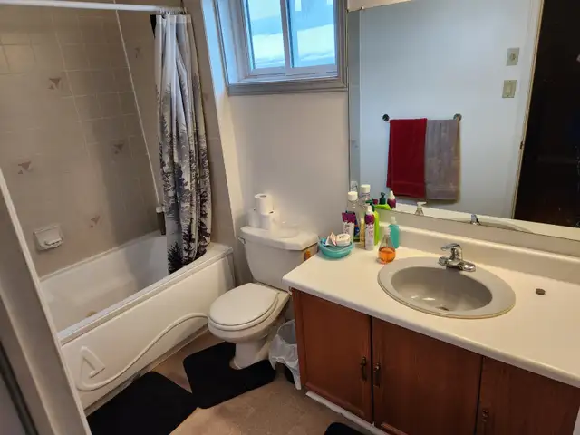Pet friendly shared accommodations working professional/student406757104608225283