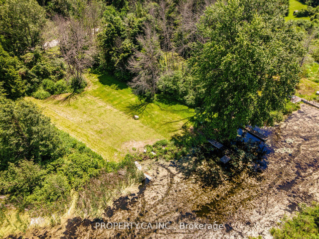 1 Acre of Vacant Land! Build Your Dream Home! Rice Lake Access! in Land for Sale in Peterborough - Image 3