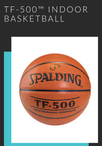 Spalding TF-500 27.5” Basketball 