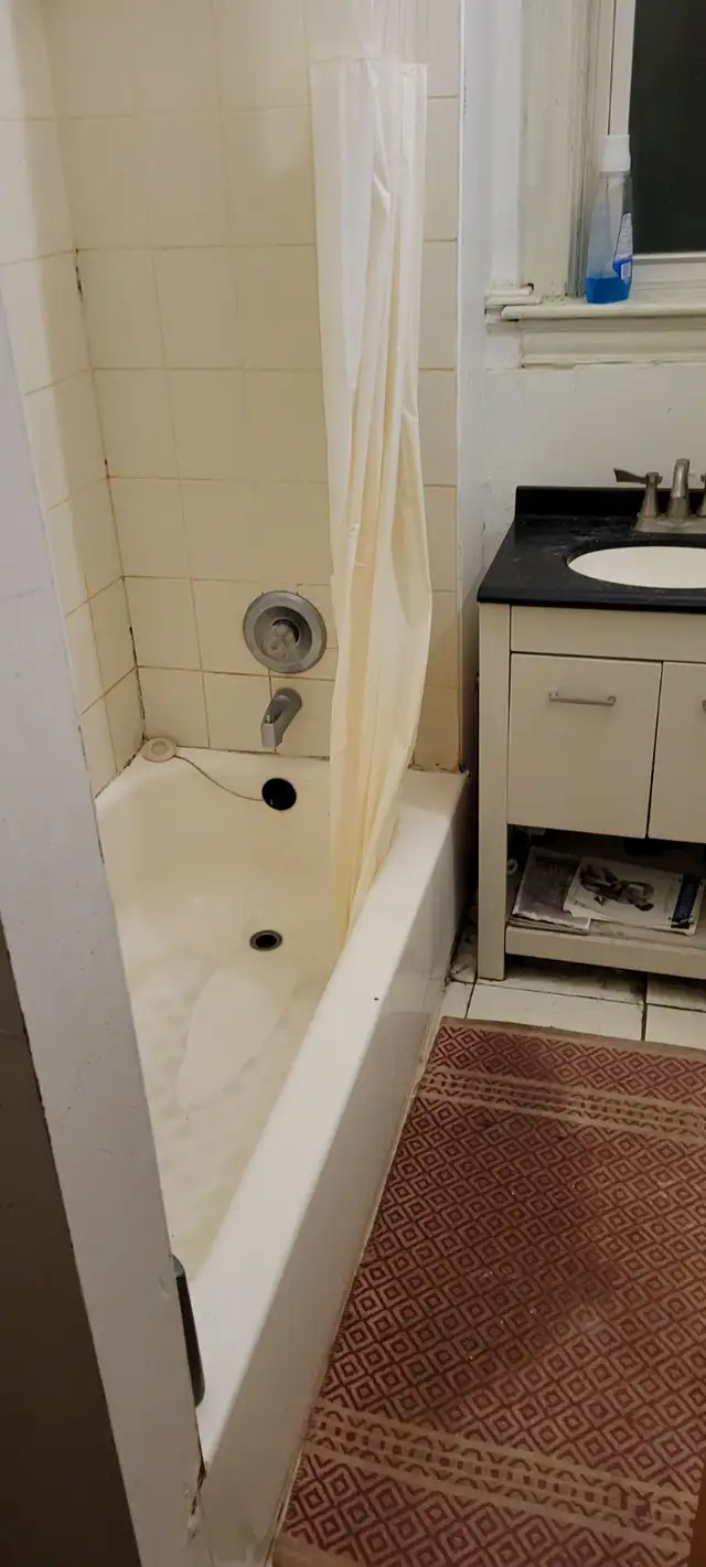 ANNEX Bright room available 1st  March $750