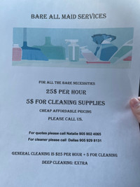 Cleaning business looking for more clients