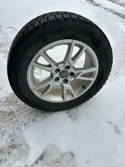 216/60-r17 Dunlop winter maxx winter tires with Audi rims. Came off 2018 Audi q3. Low kms tires like...