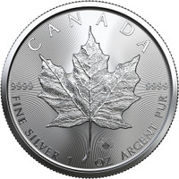 1 oz .9999 Royal Canadian Mint Silver Maple Leaf Coin (2022)New