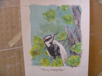 Hairy Woodpecker  ORIGINAL ART + 1 Red-Headed Woodpecker