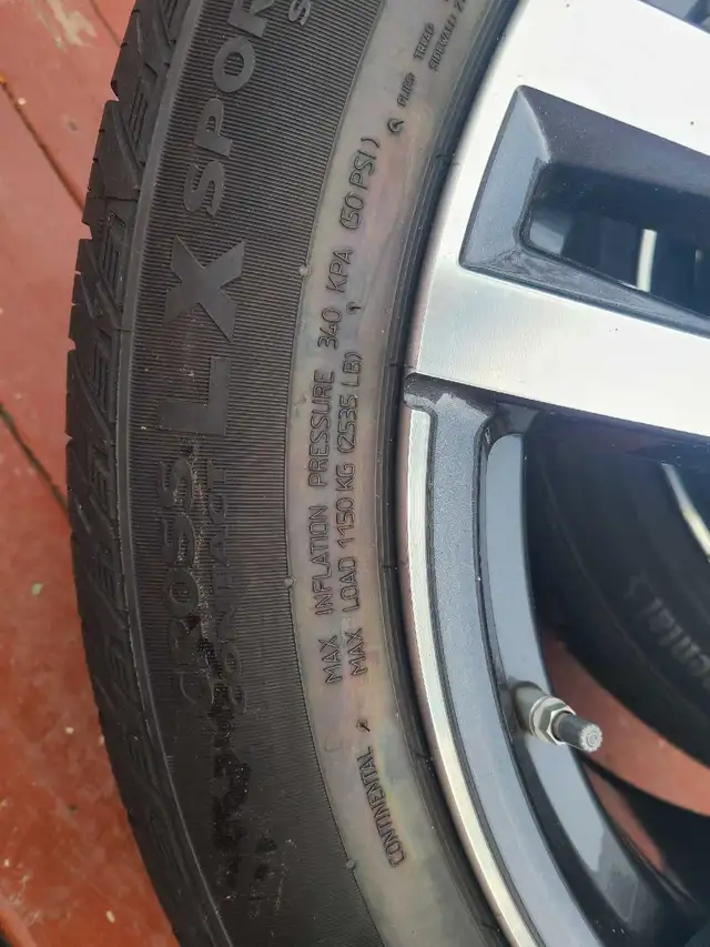 BMW X7 OEM rims with tires in Tires & Rims in Mississauga / Peel Region - Image 3