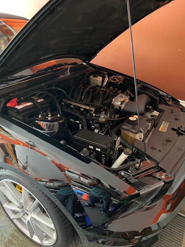 Ford Mustang GT 2008 Convertible (California Special) in Cars & Trucks in Mississauga / Peel Region - Image 3