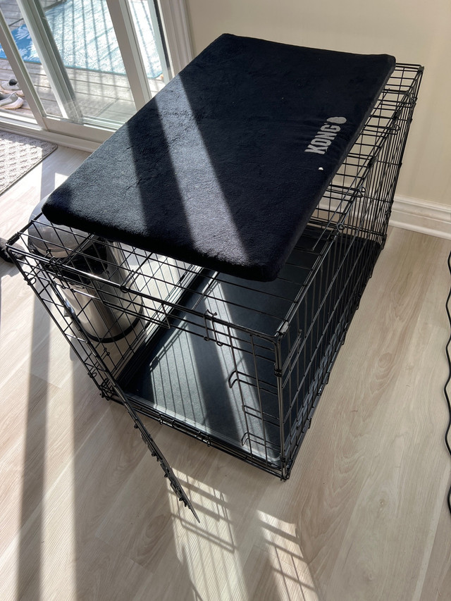 Dog crate Other Kingston Kijiji