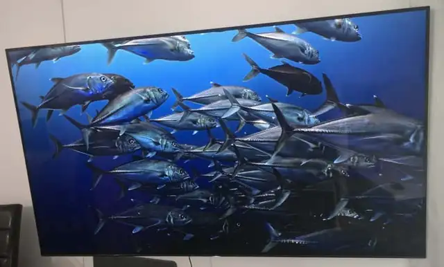 Sony 65A1E OLED 4K – top qualité, aucun burn-in in TVs in City of Montréal - Image 2